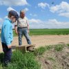 Wsiedlenie Kuropatw w łowisko 10.05.2016 obw 266 i 277